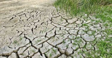أخبار سياسية – الخسائر الزراعية للجفاف فى إسبانيا تصل إلى أكثر من مليار يورو سنويا