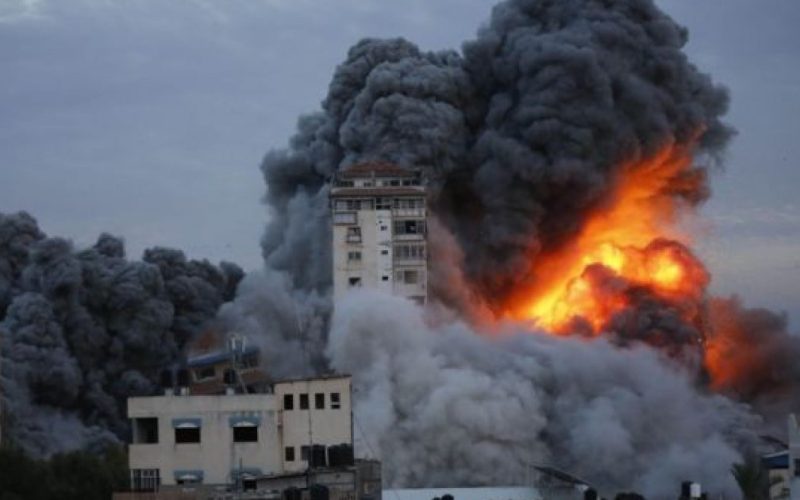القصف الإسرائيلي الوحشي على غزة لم يستثن حتى الحيوانات
