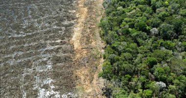 أخبار سياسية – صحيفة: رئة الأرض تموت من العطش بسبب جفاف أنهار الأمازون